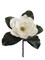 Captivating Set of 6 15" White Magnolia Blooms (8" Diameter) - Elegant Floral Accents for Home Decor and Events, Floral Home by Artificial Flowers